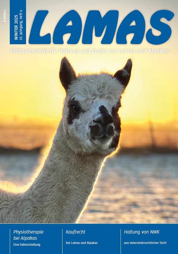 LAMAS_Dez25_Cover